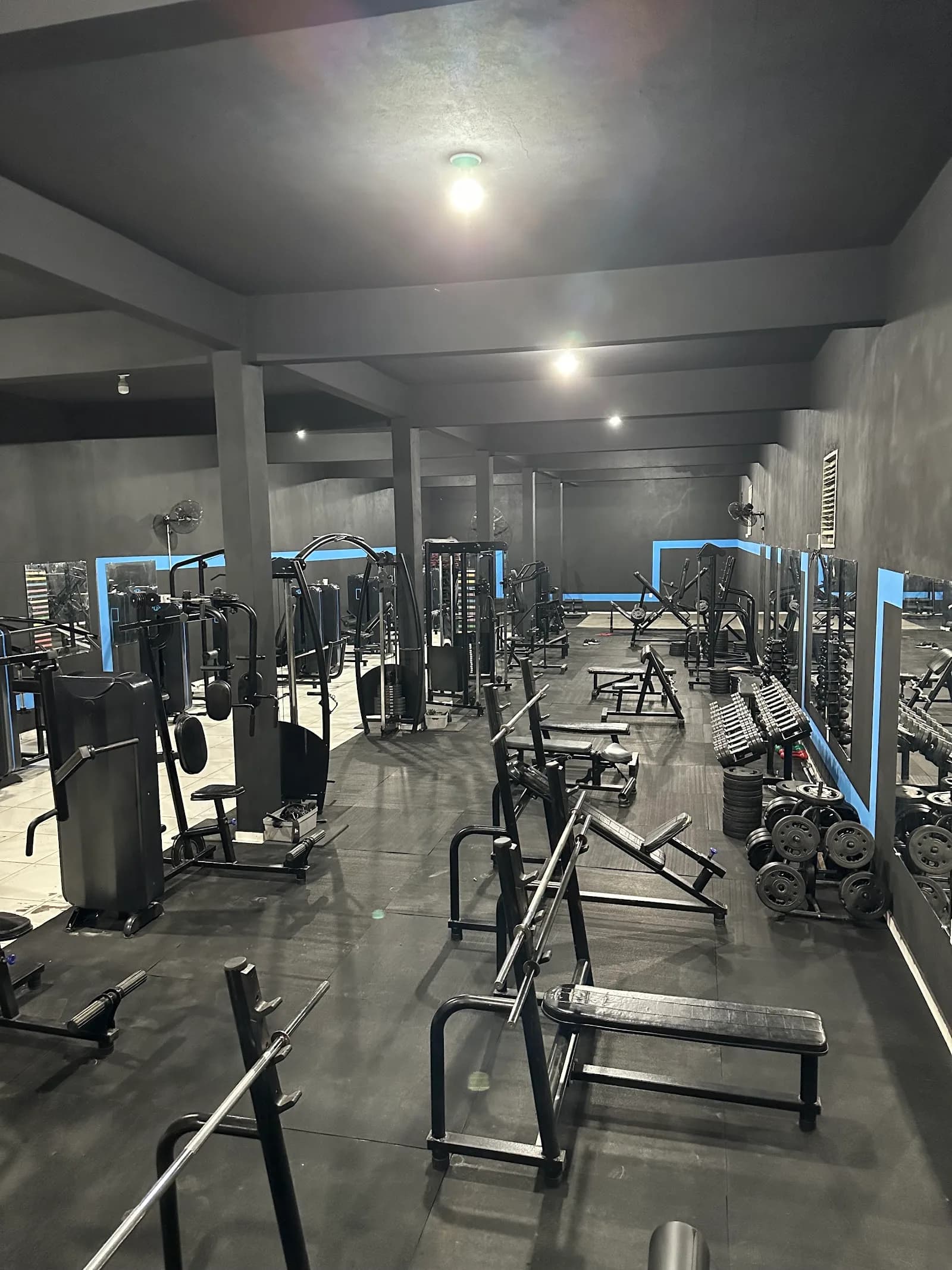 Academia AlphaFit — foto 2