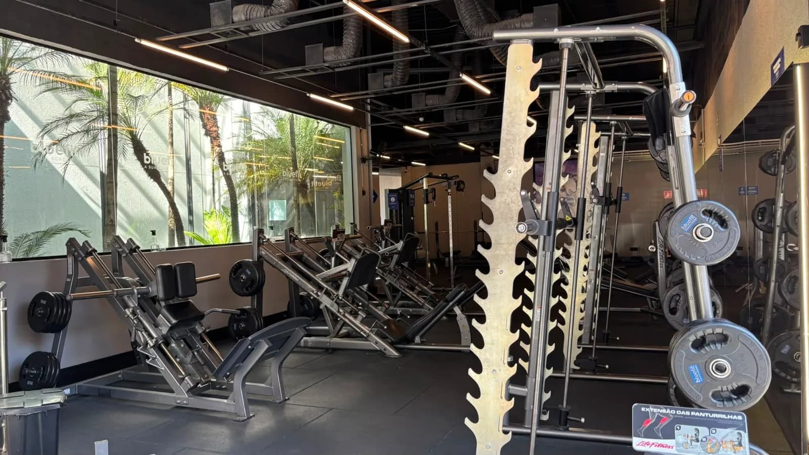 Academia BlueFit Alfredo Pujol — foto 2