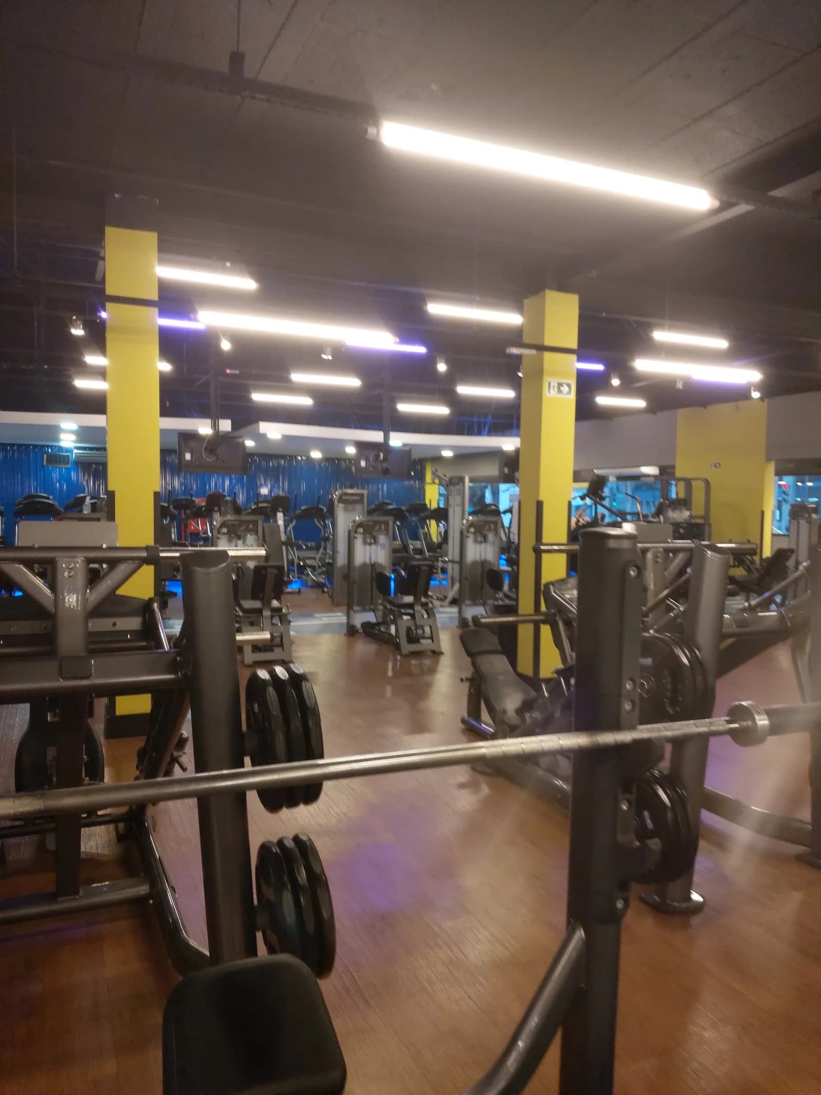 Academia BlueFit Andaló — foto 1