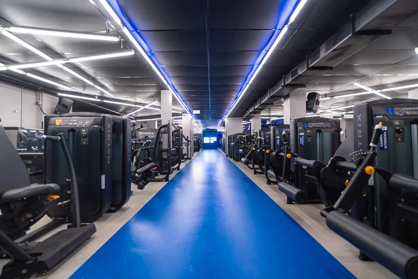 Academia BlueFit Cidade Jardim — foto 3