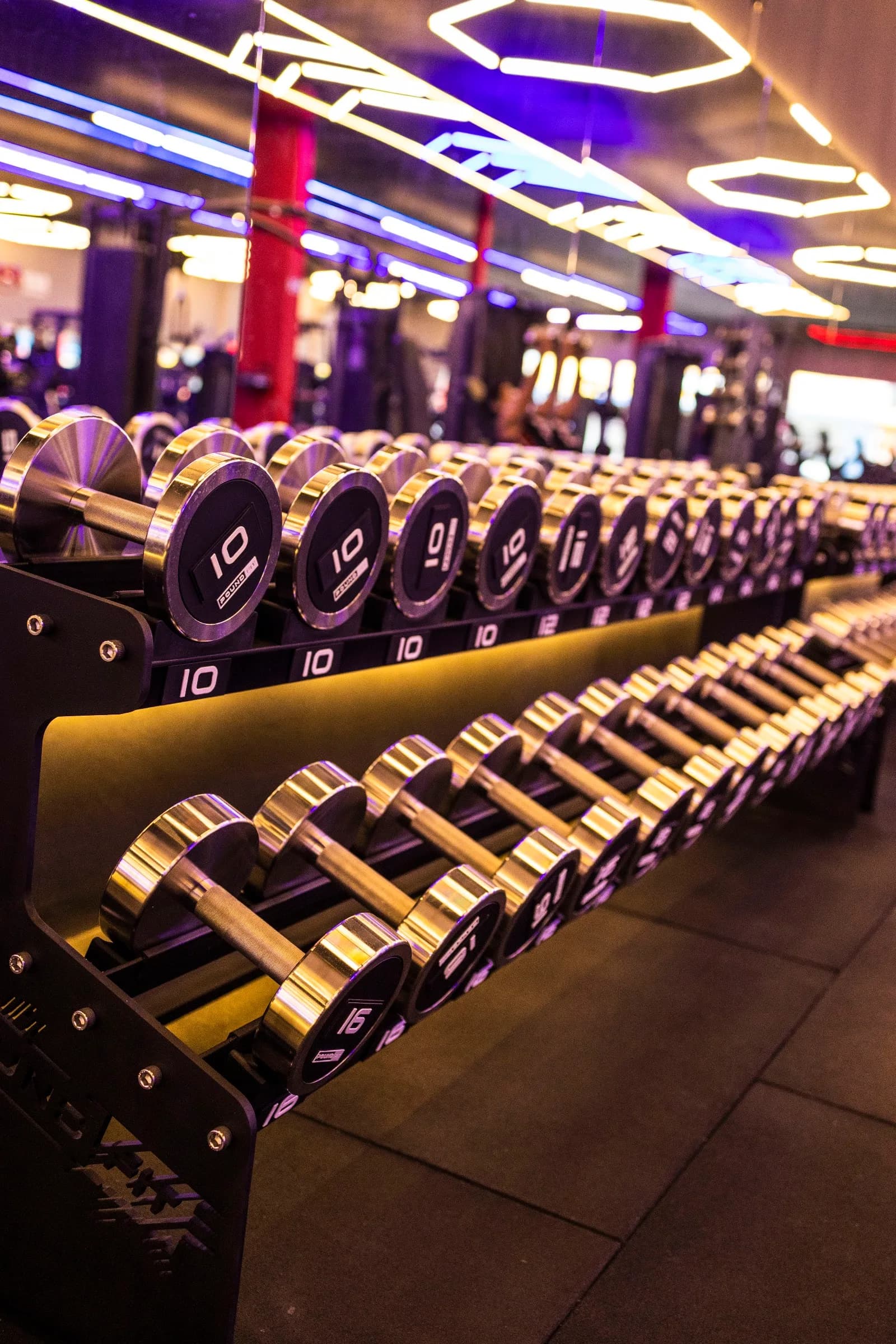 Academia SkyFit Carmindo — foto 3
