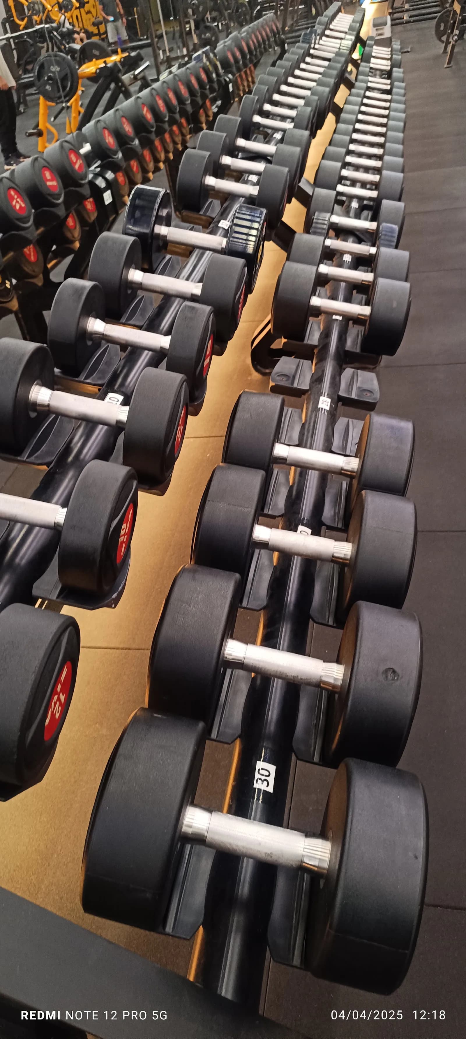 Academia Smart Fit - Vila Guilherme — foto 3