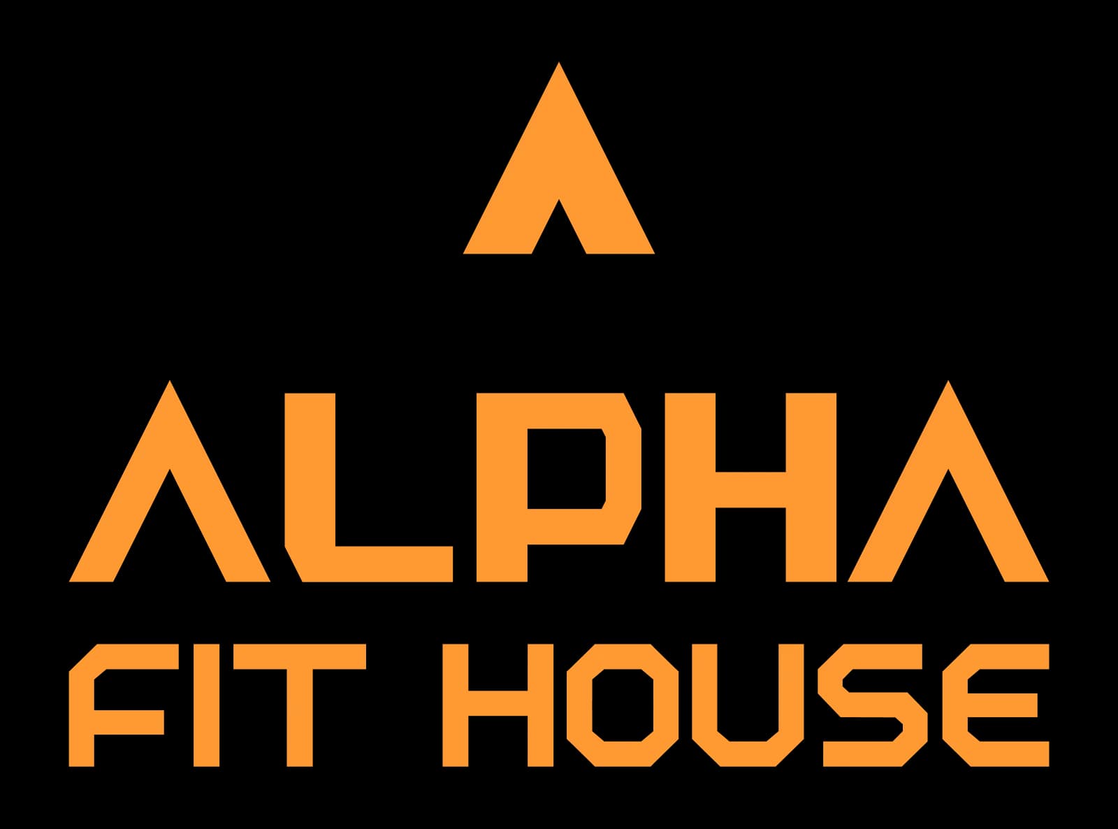 Alpha Fit House — foto 2