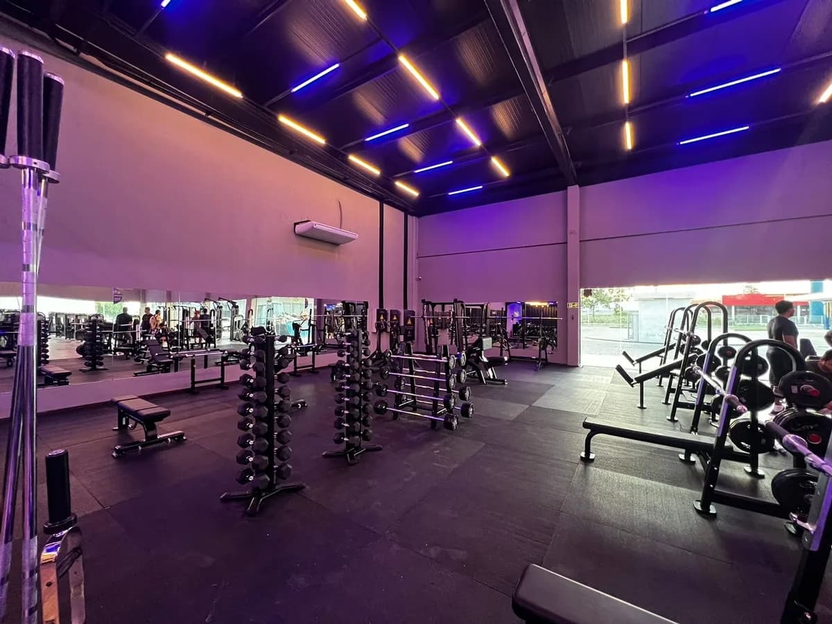 Alpha Fitness - Artemis — foto 2