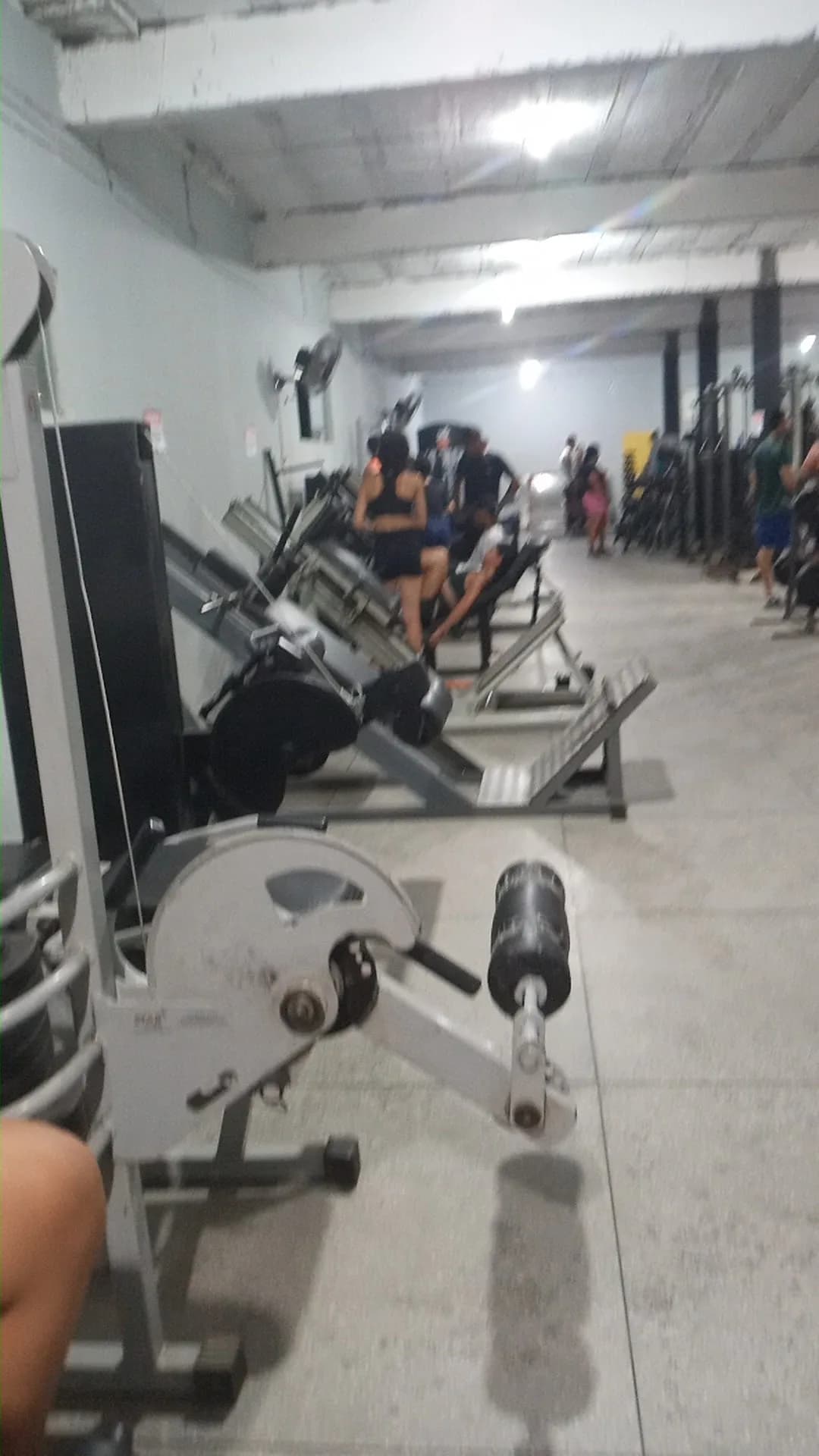 Alpha Fitness — foto 1