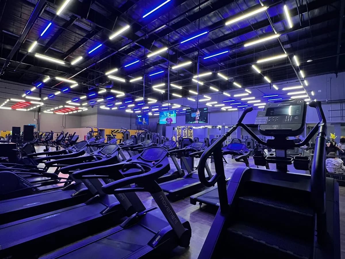 Alpha Fitness - Olívia Flores — foto 2