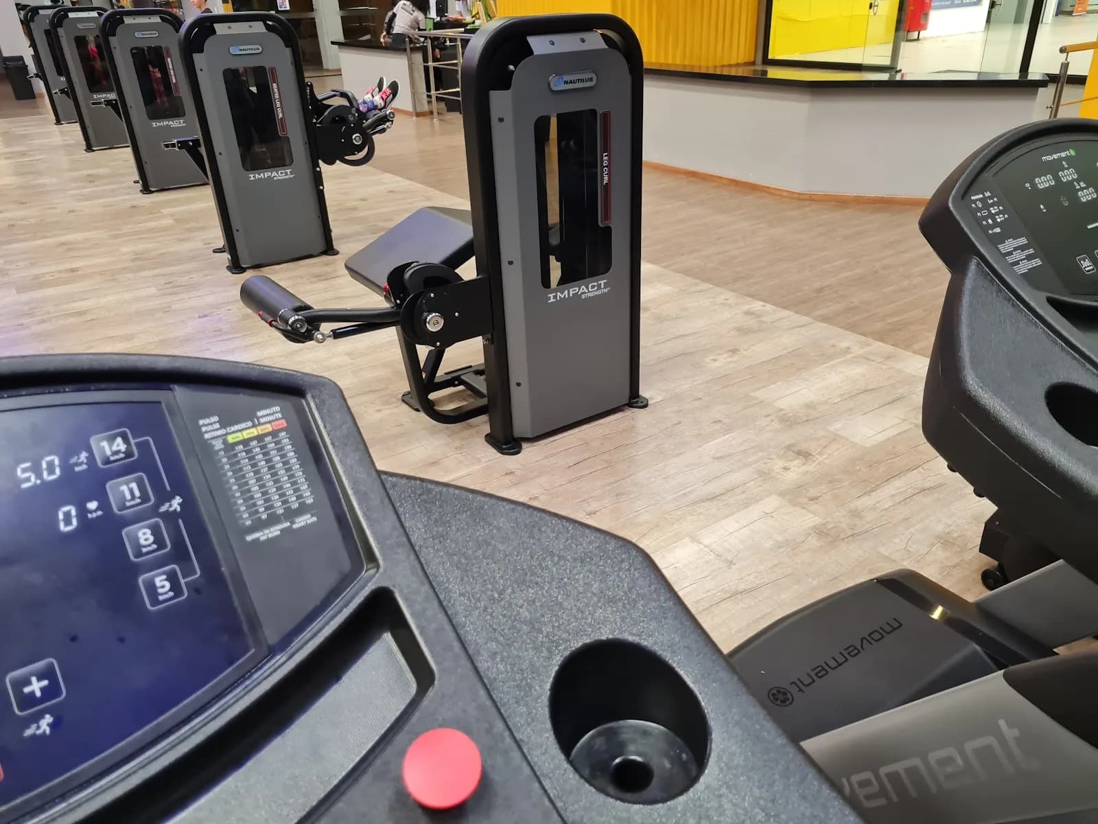 Alpha Fitness - Olívia Flores — foto 3