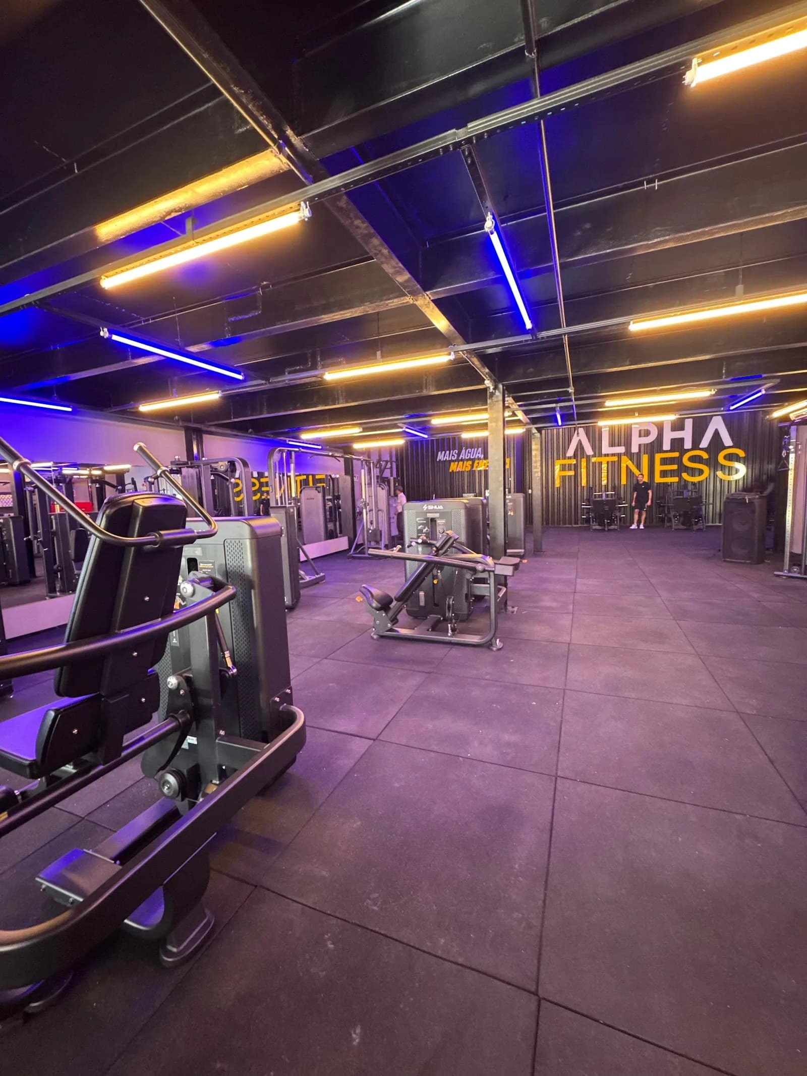 Alpha Fitness - Outlet Premium — foto 1