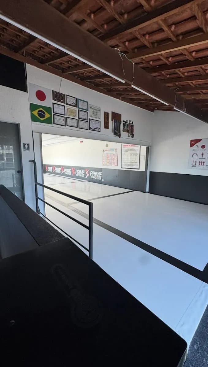 BJJ House - Brazilian Jiujitsu — foto 1