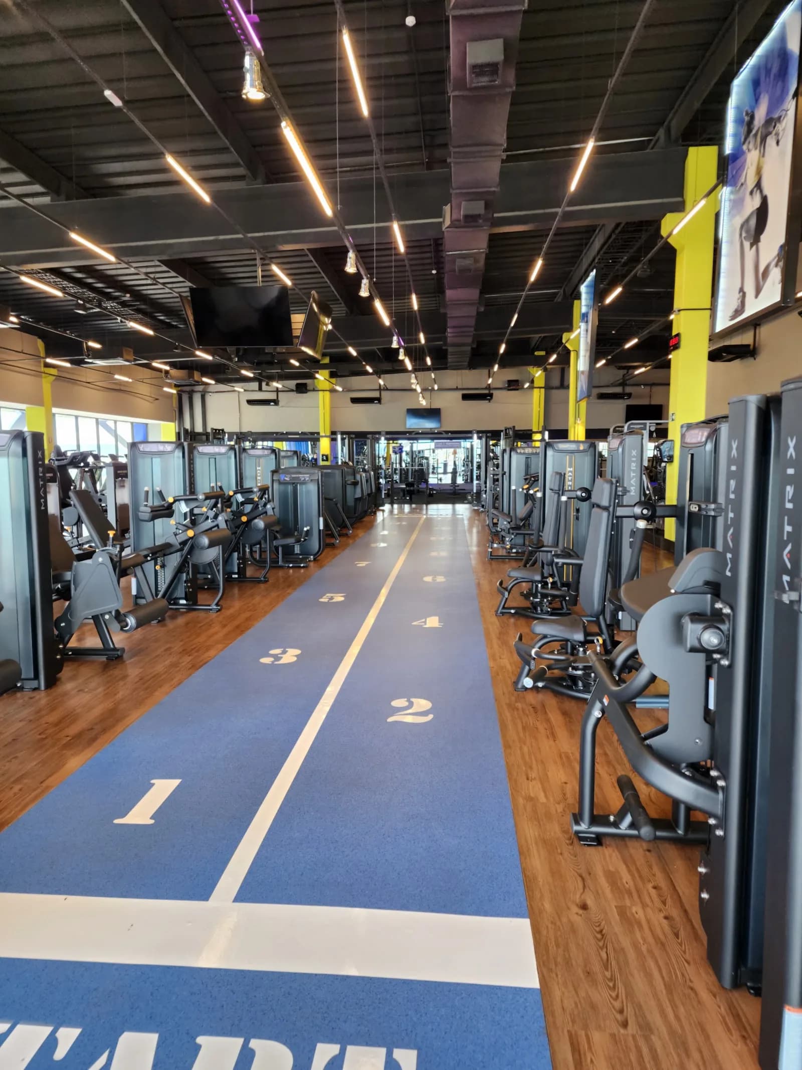 BlueFit Cotia — foto 1
