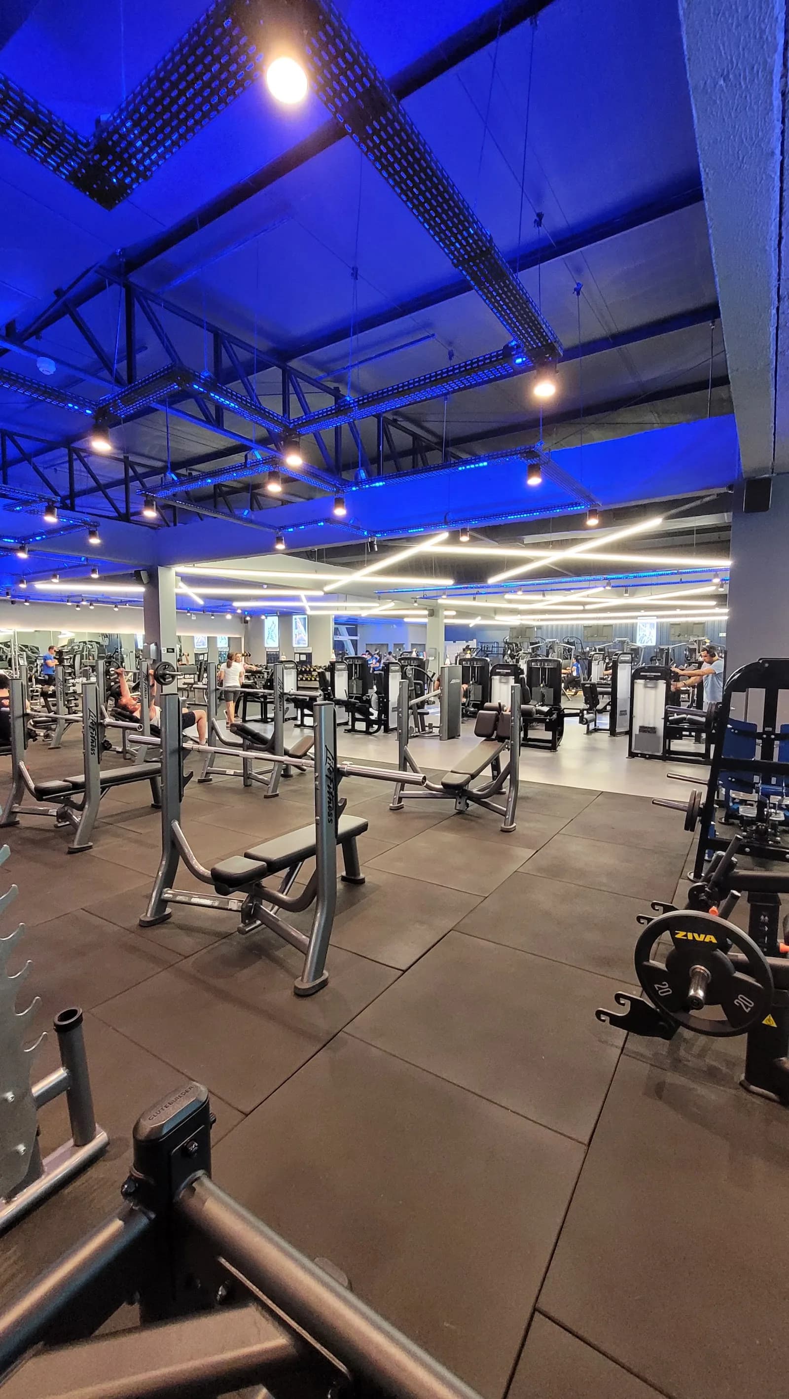 BlueFit Duque — foto 2