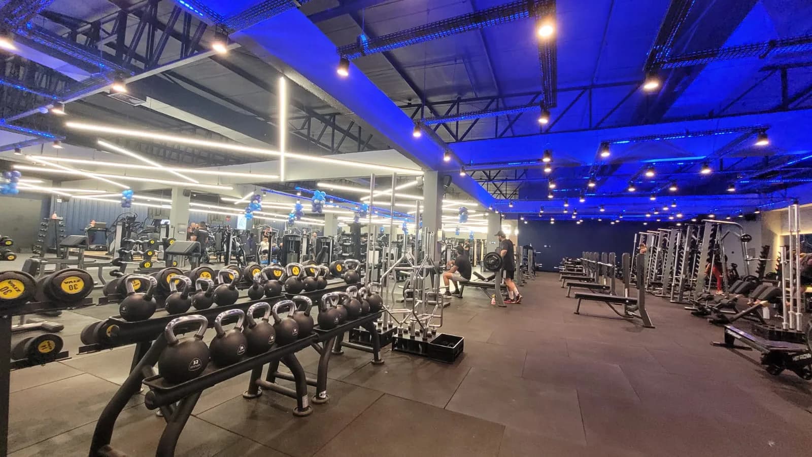 BlueFit Duque — foto 3