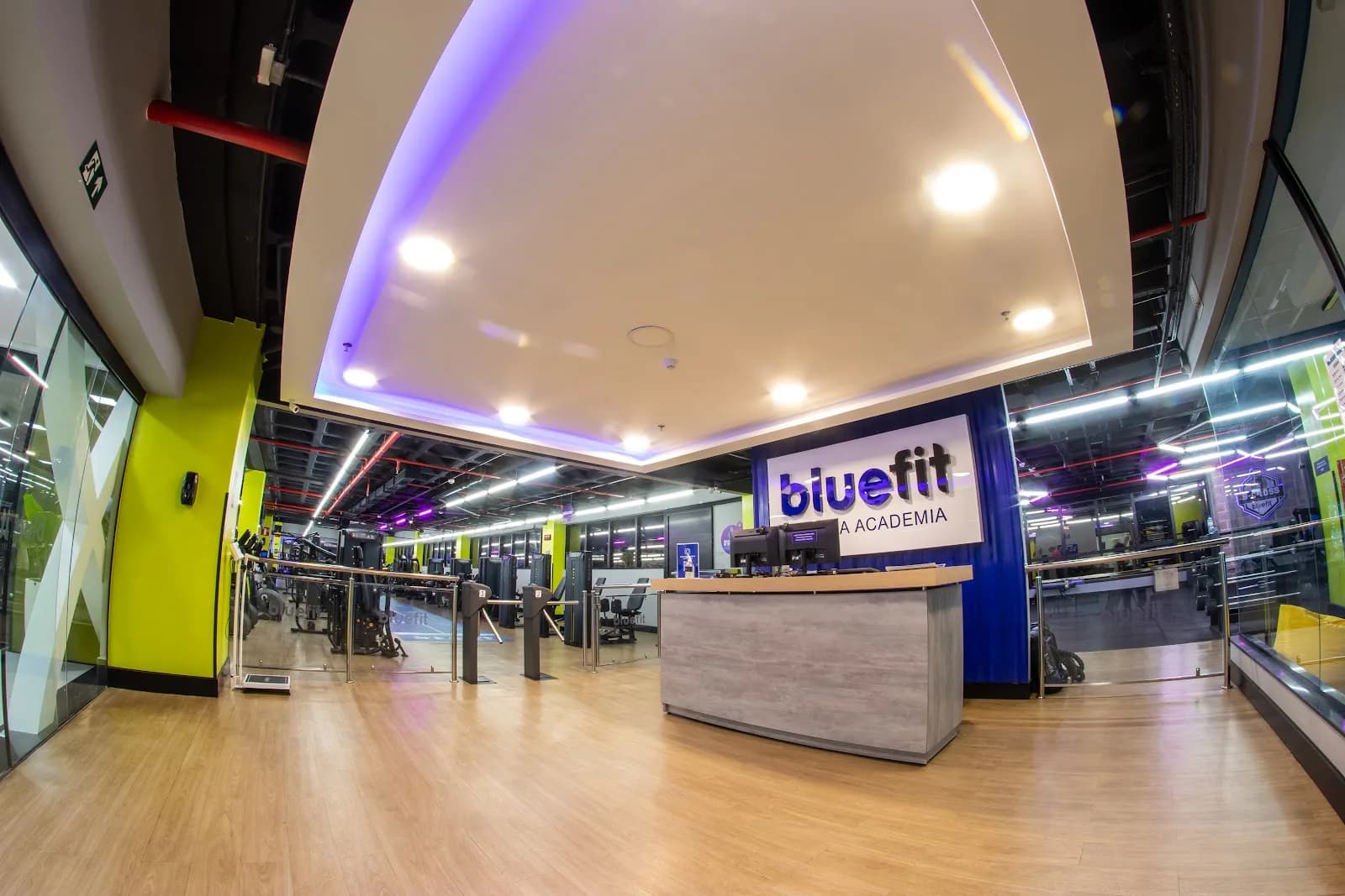 Bluefit - Leda Barcelos — foto 1