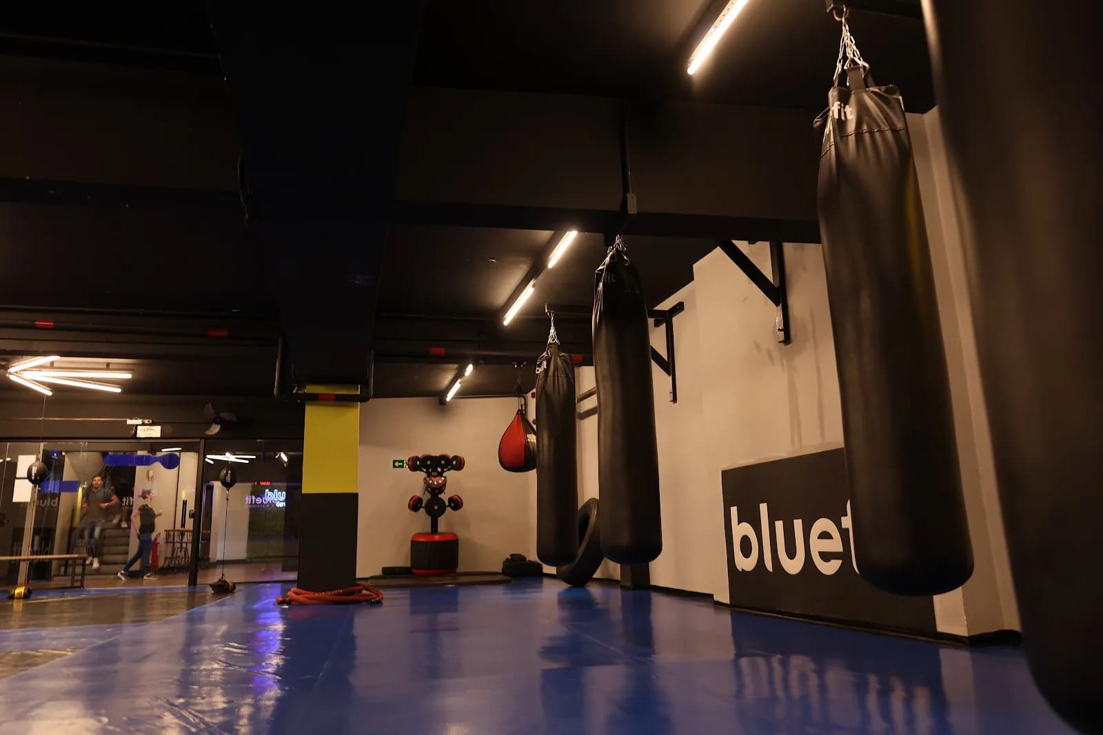 BlueFit Santana — foto 1