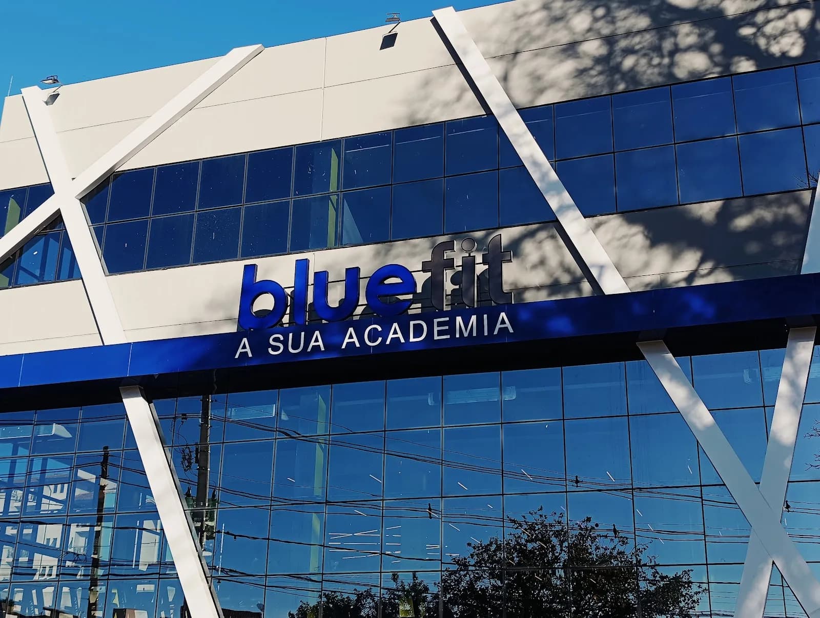Bluefit São Carlos — foto 3