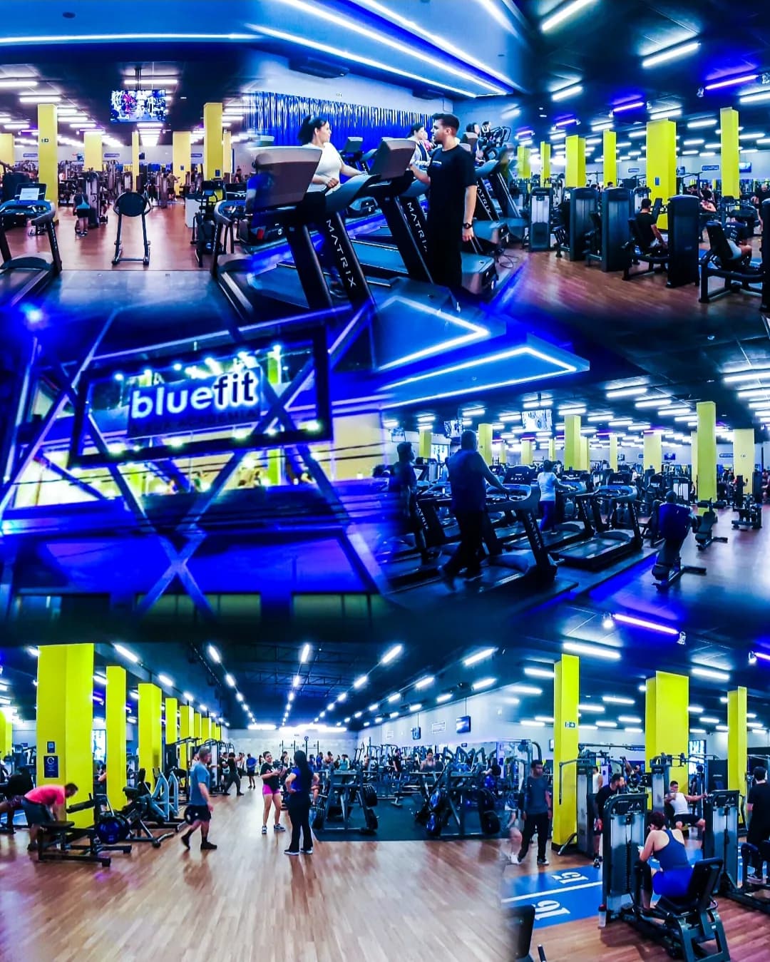 Bluefit Tremembé — foto 1
