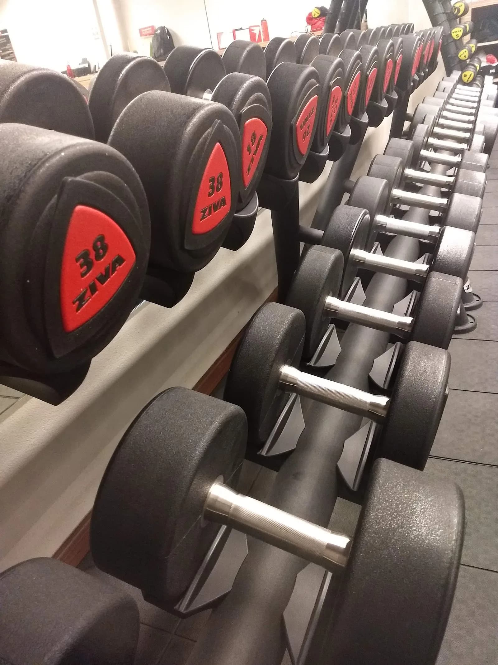 Bodytech - Luz — foto 3