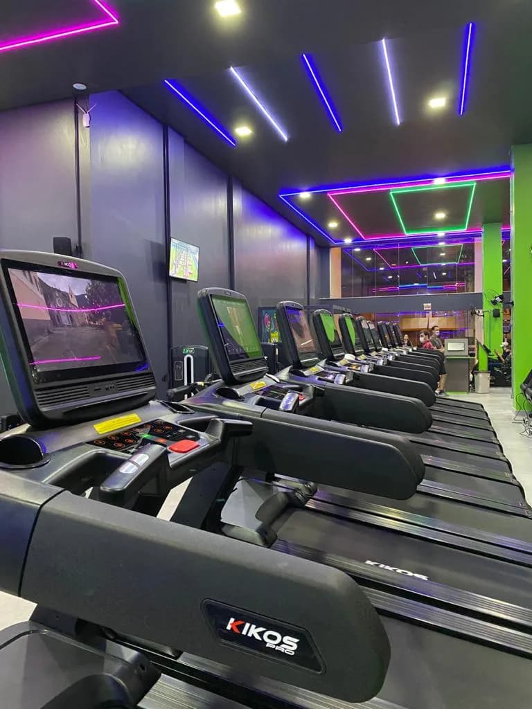 Engenharia do Corpo - Ariribá — foto 2