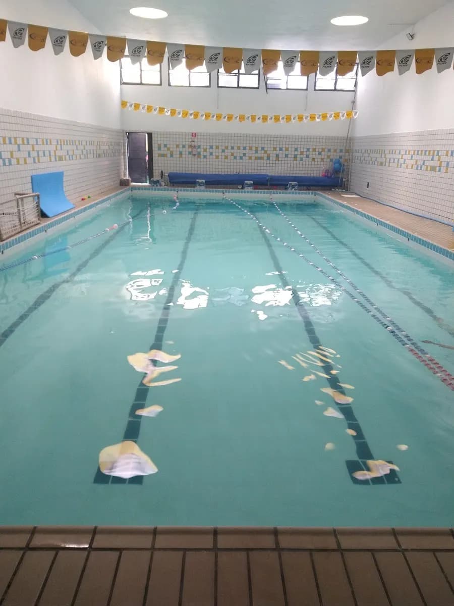 Four Swim — foto 1
