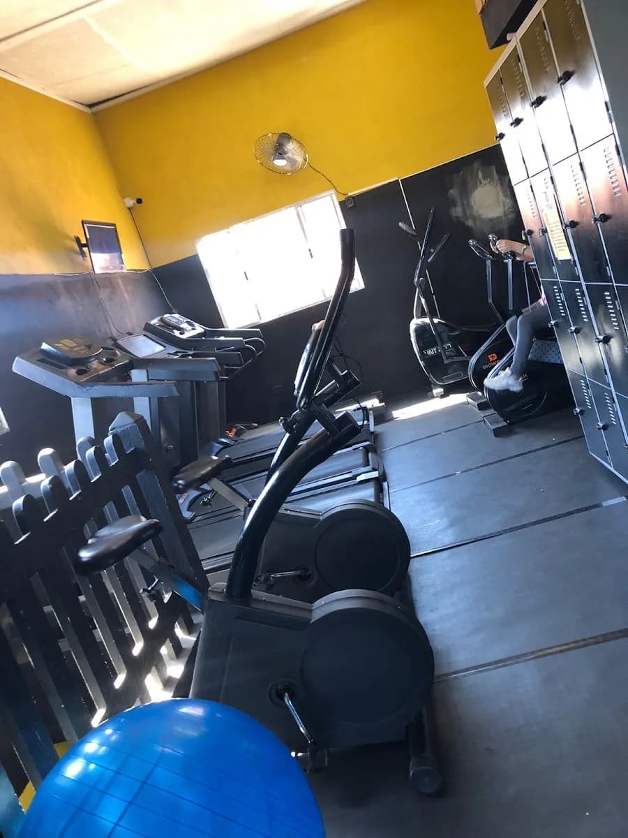 Golden Family fit — foto 1