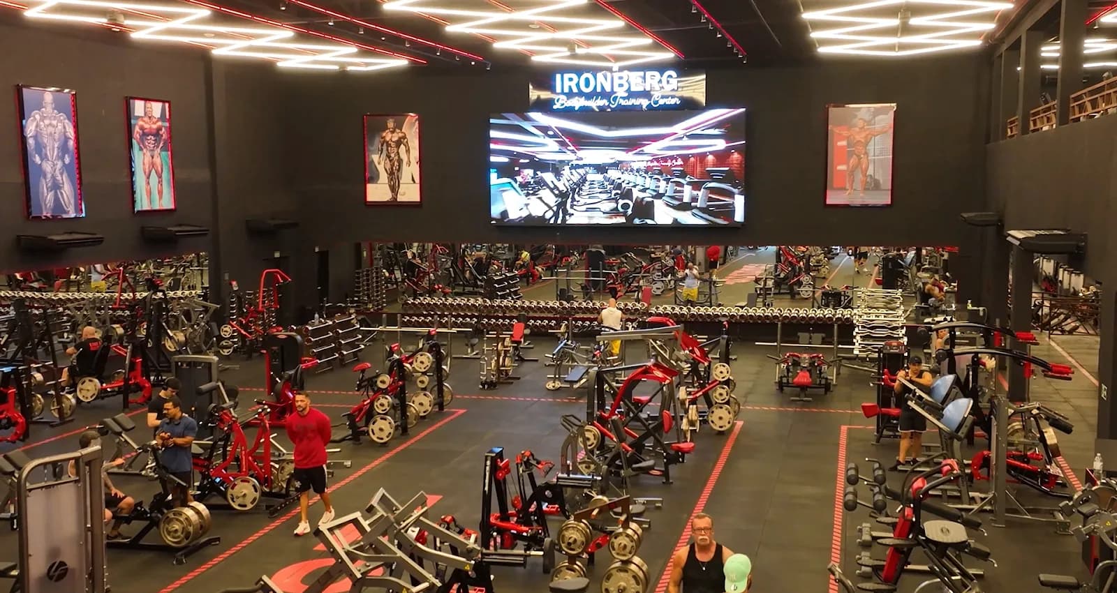 Ironberg Santos — foto 1