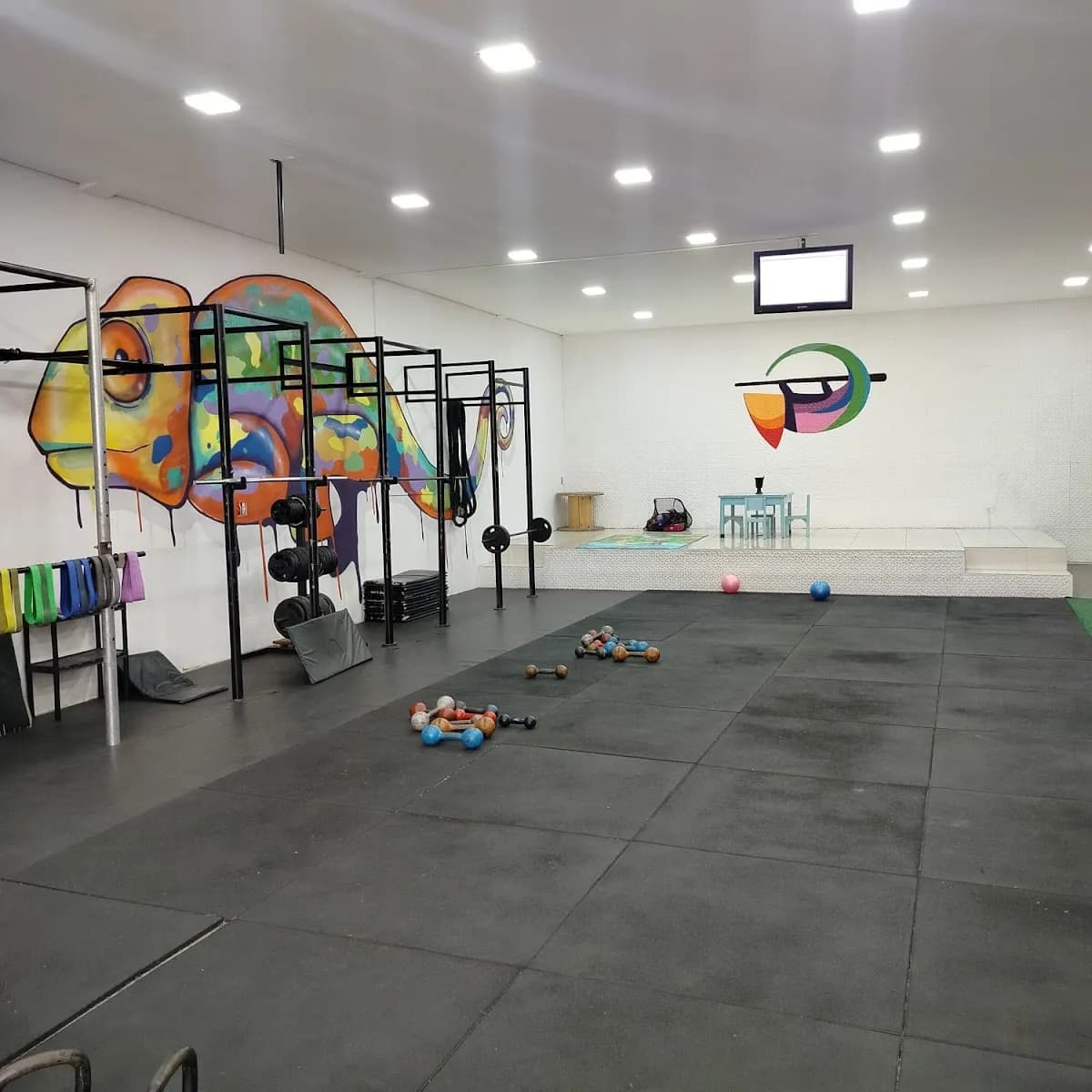 Kamaleão Estúdio - Treinamento Funcional e Pilates — foto 2