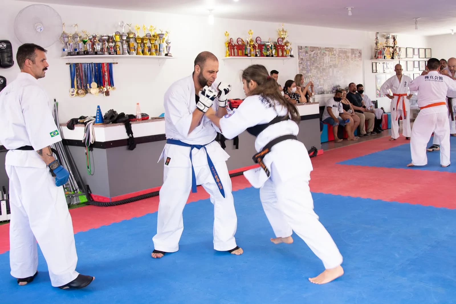 Karatê Kyokushin IKO Nakamura — foto 1