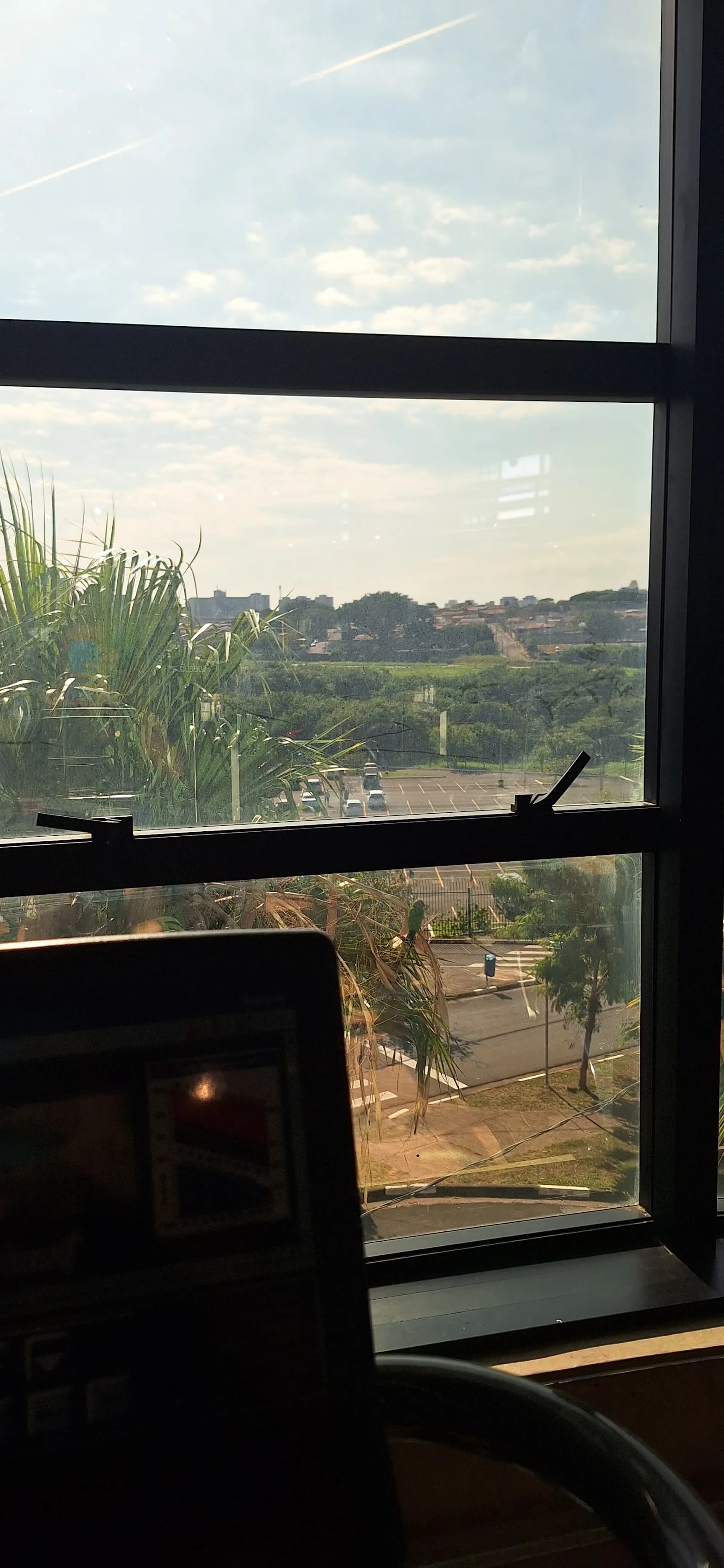 Panobianco - Jardim Aurelia — foto 2
