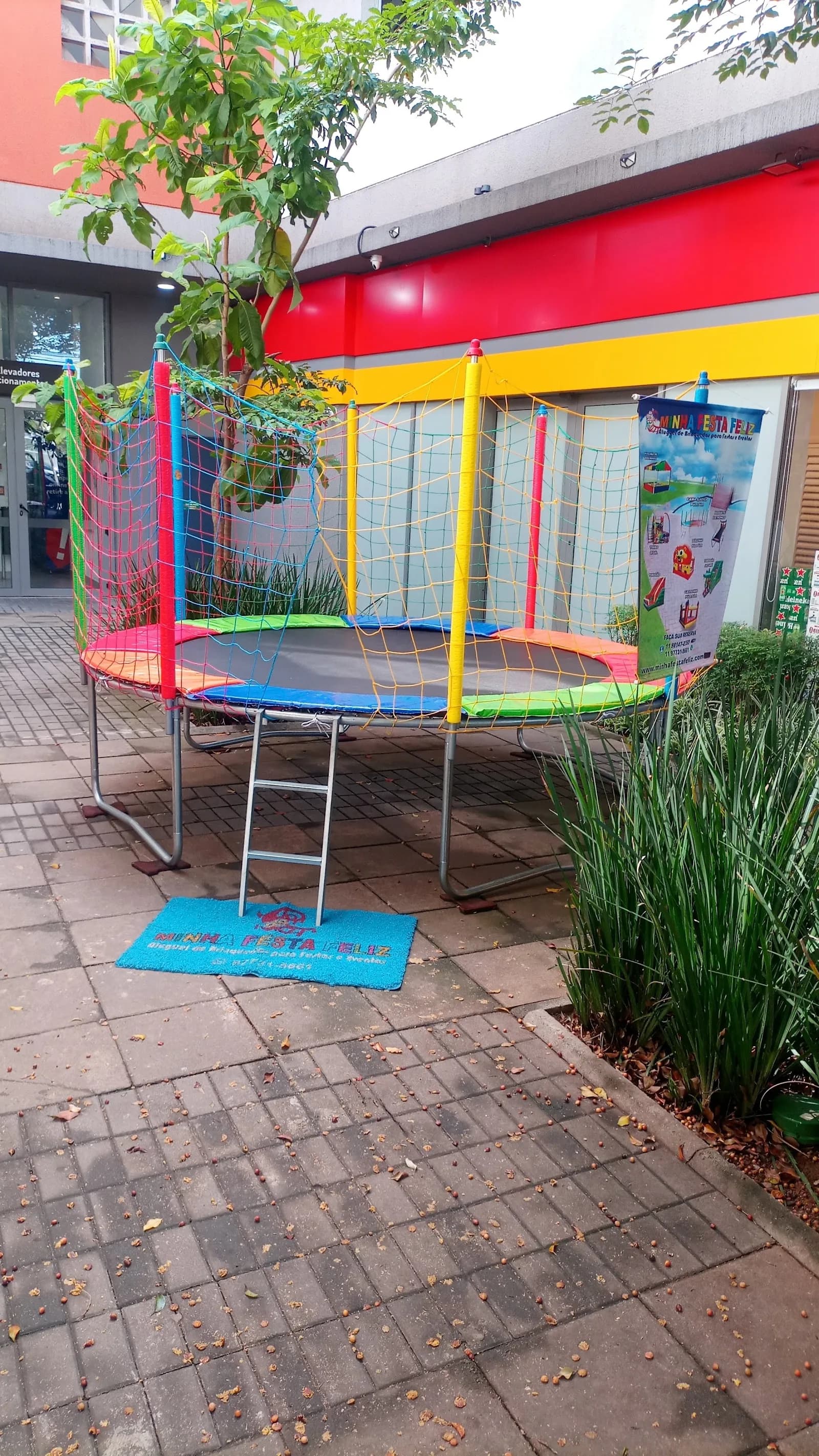 PANOBIANCO MIGUEL YUNES — foto 2