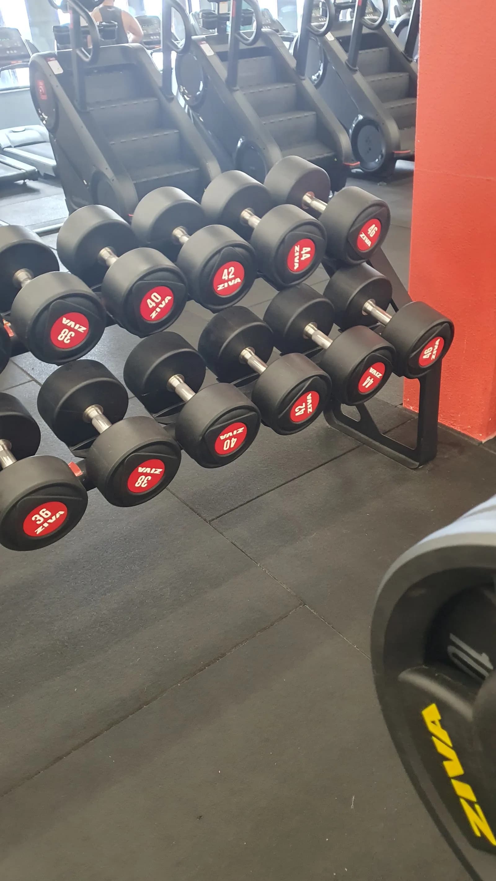 Selfit Academias Bessa — foto 2