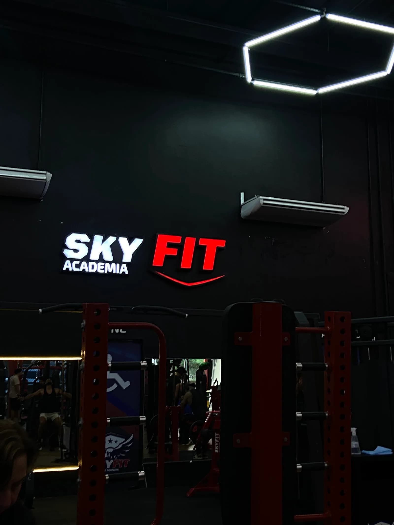 Skyfit Vila Romana — foto 2