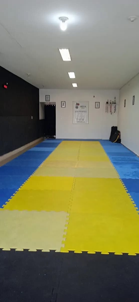 UEDA JIU-JITSU POLO SÃO JOÃO — foto 1
