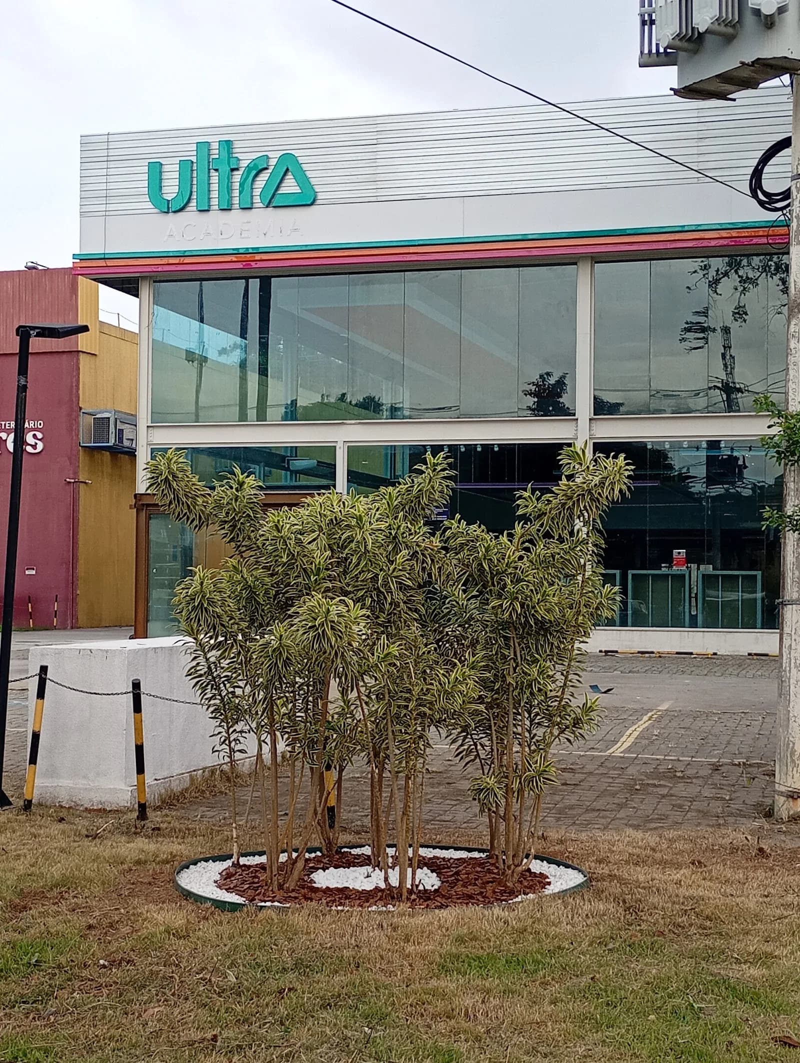Ultra Academia Cachamorra — foto 2