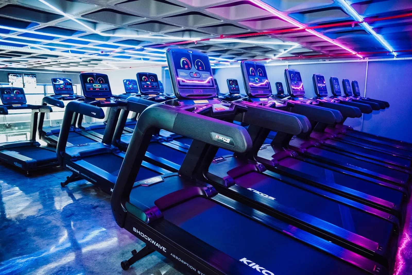 Academia Engenharia do Corpo - Cidade Alta — foto 1