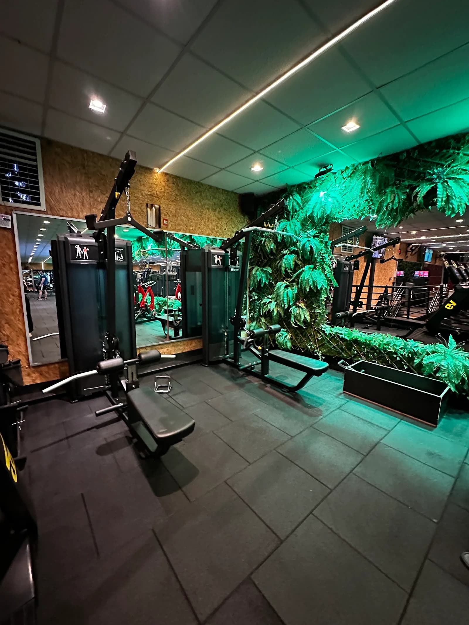 Academia Pratique Fitness - Mangabeiras — foto 2