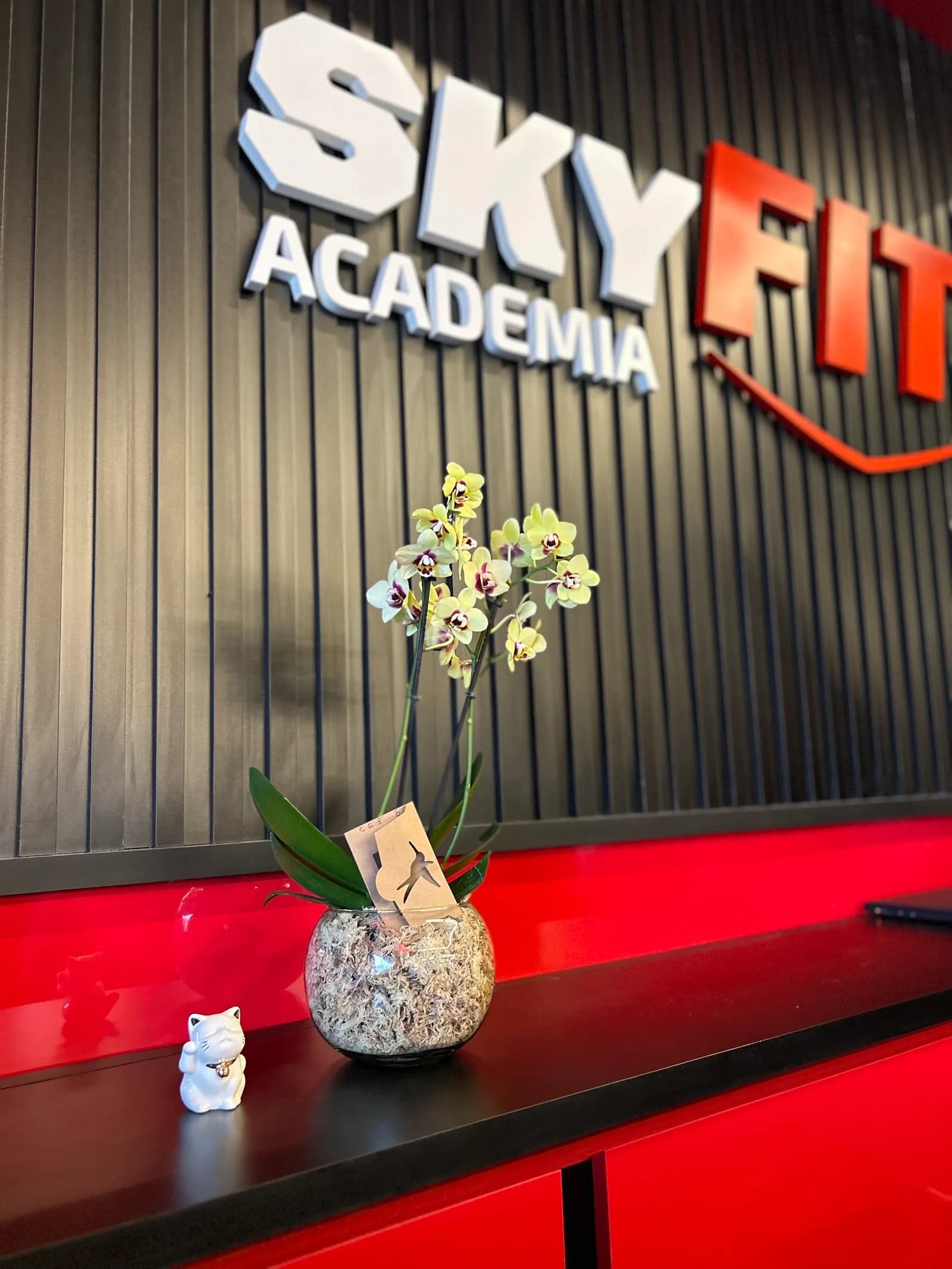 Academia Skyfit Itapecerica da Serra — foto 3