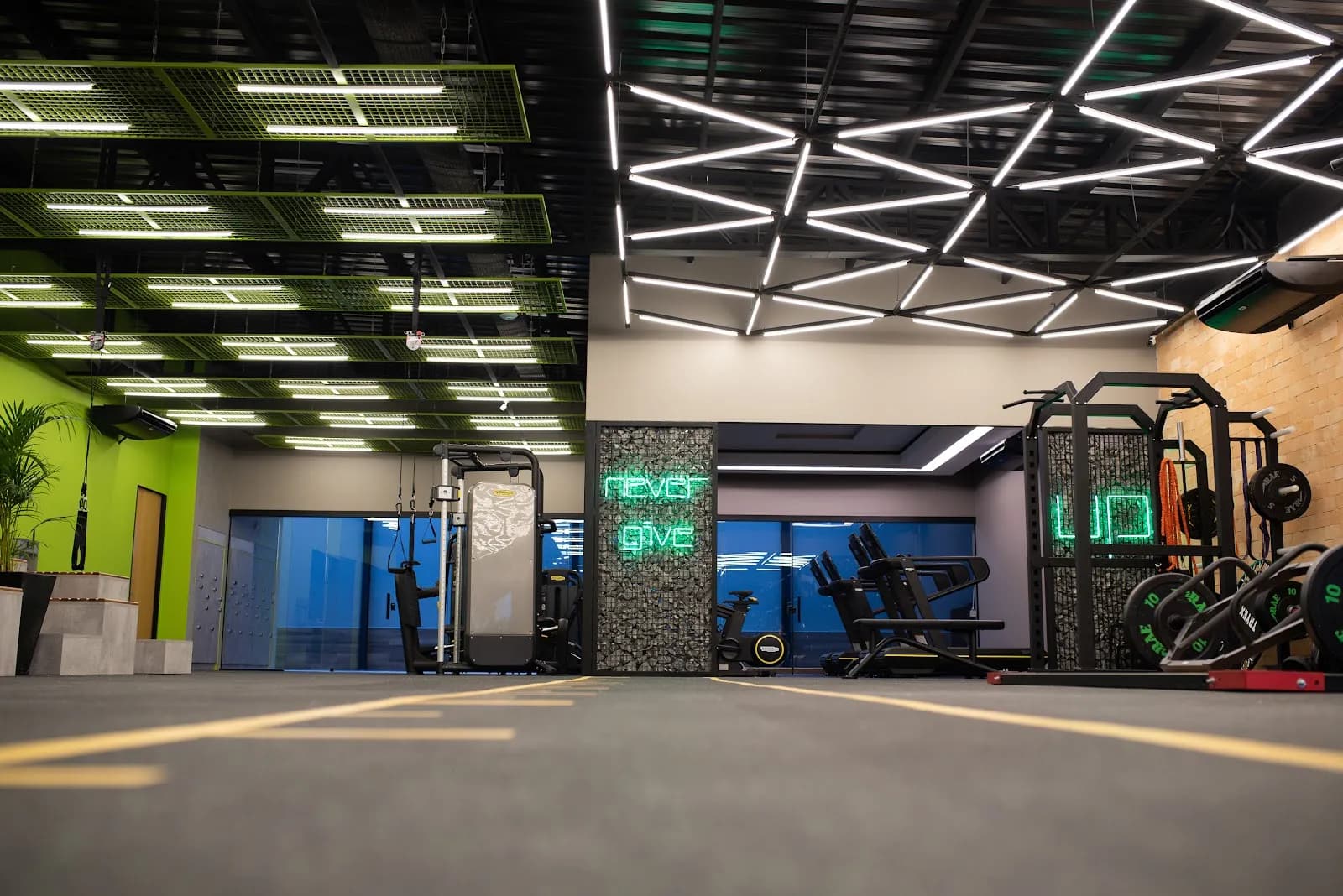 Academia Twelve Studio — foto 2