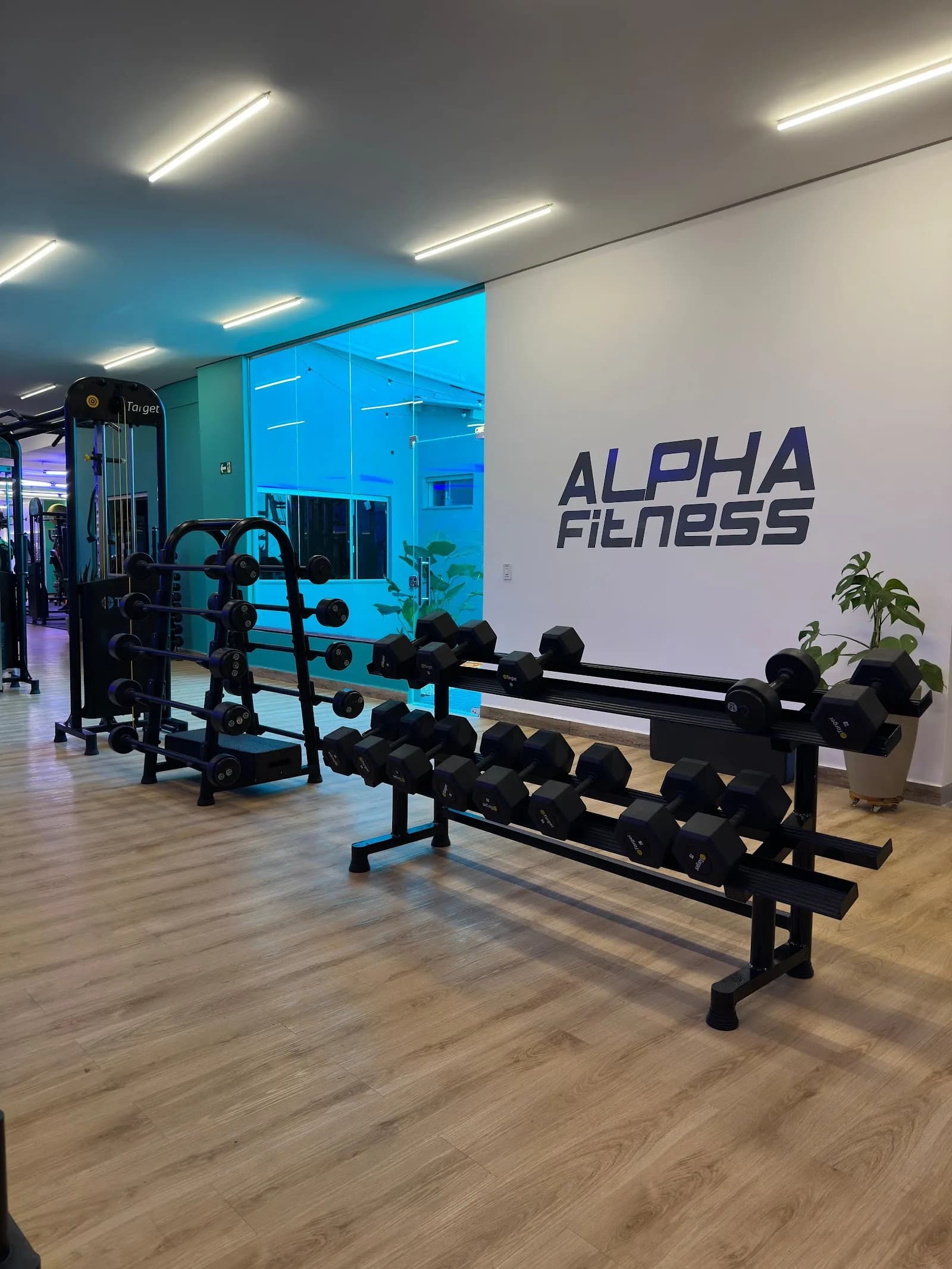 Alpha Fitness - Núcleo Urbano — foto 2