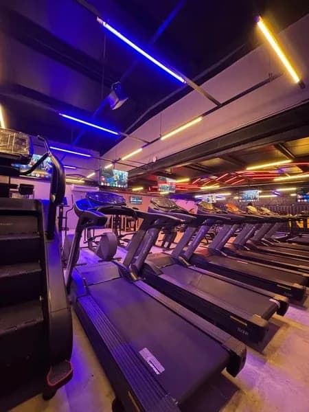 Alpha Fitness - Orlando Gomes — foto 1