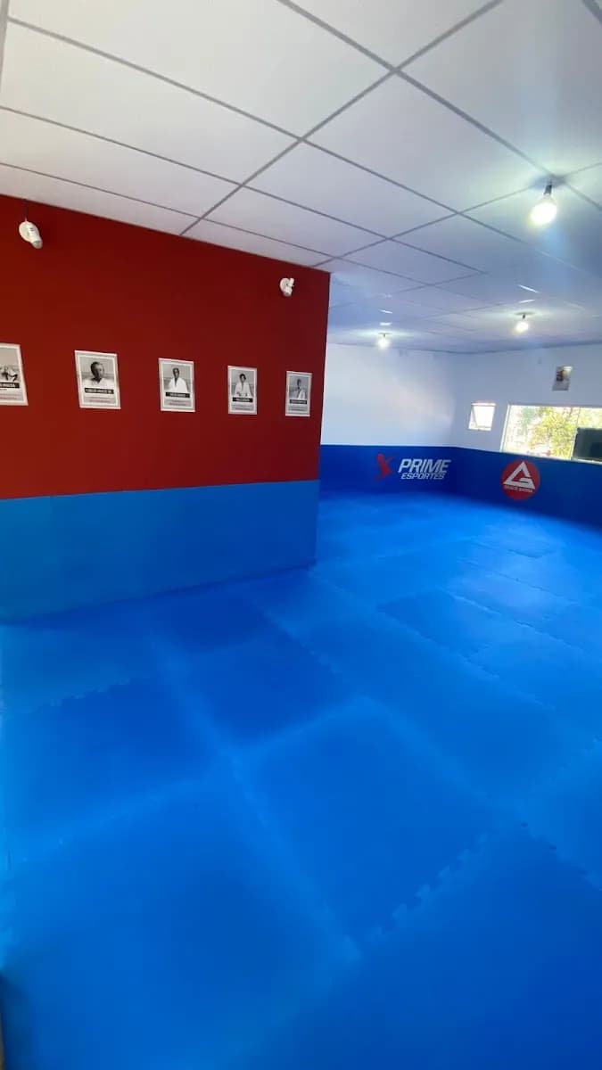 Gracie Barra Jardim Moreira — foto 1