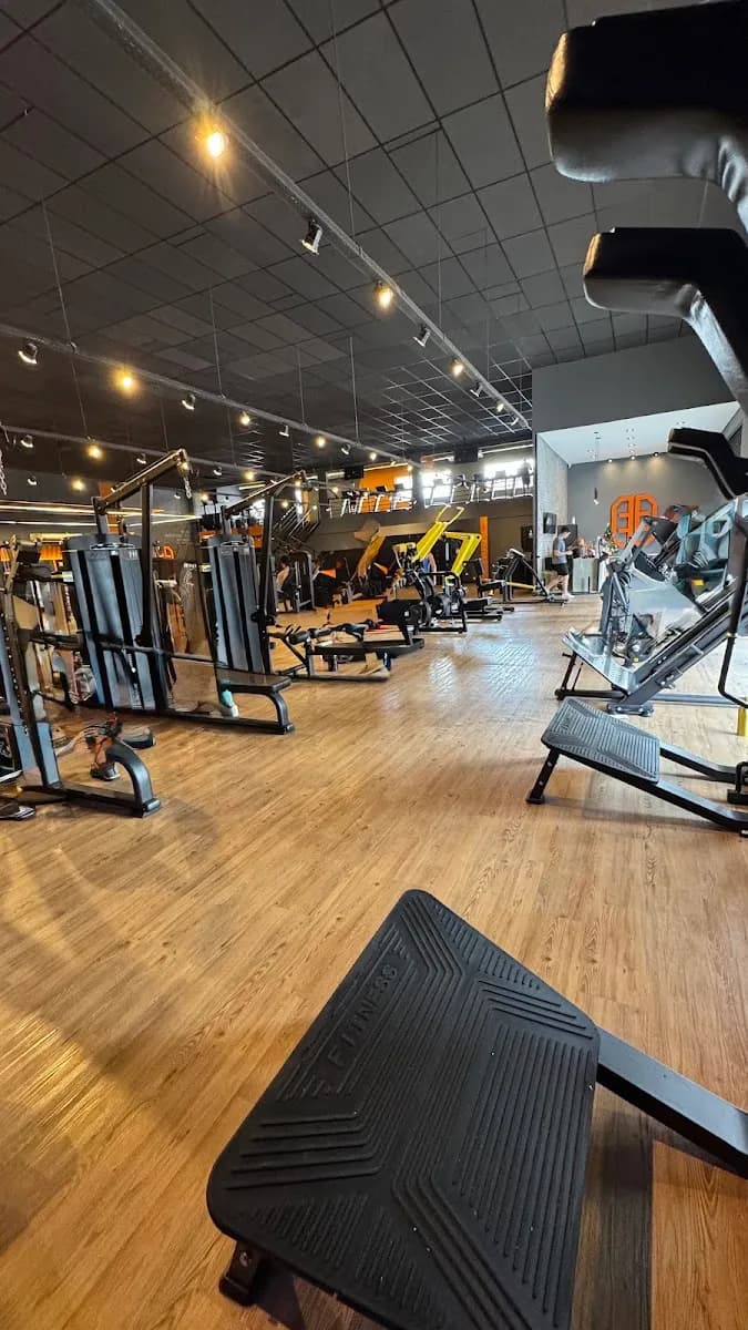 Panobianco Academia - Silvestre — foto 1