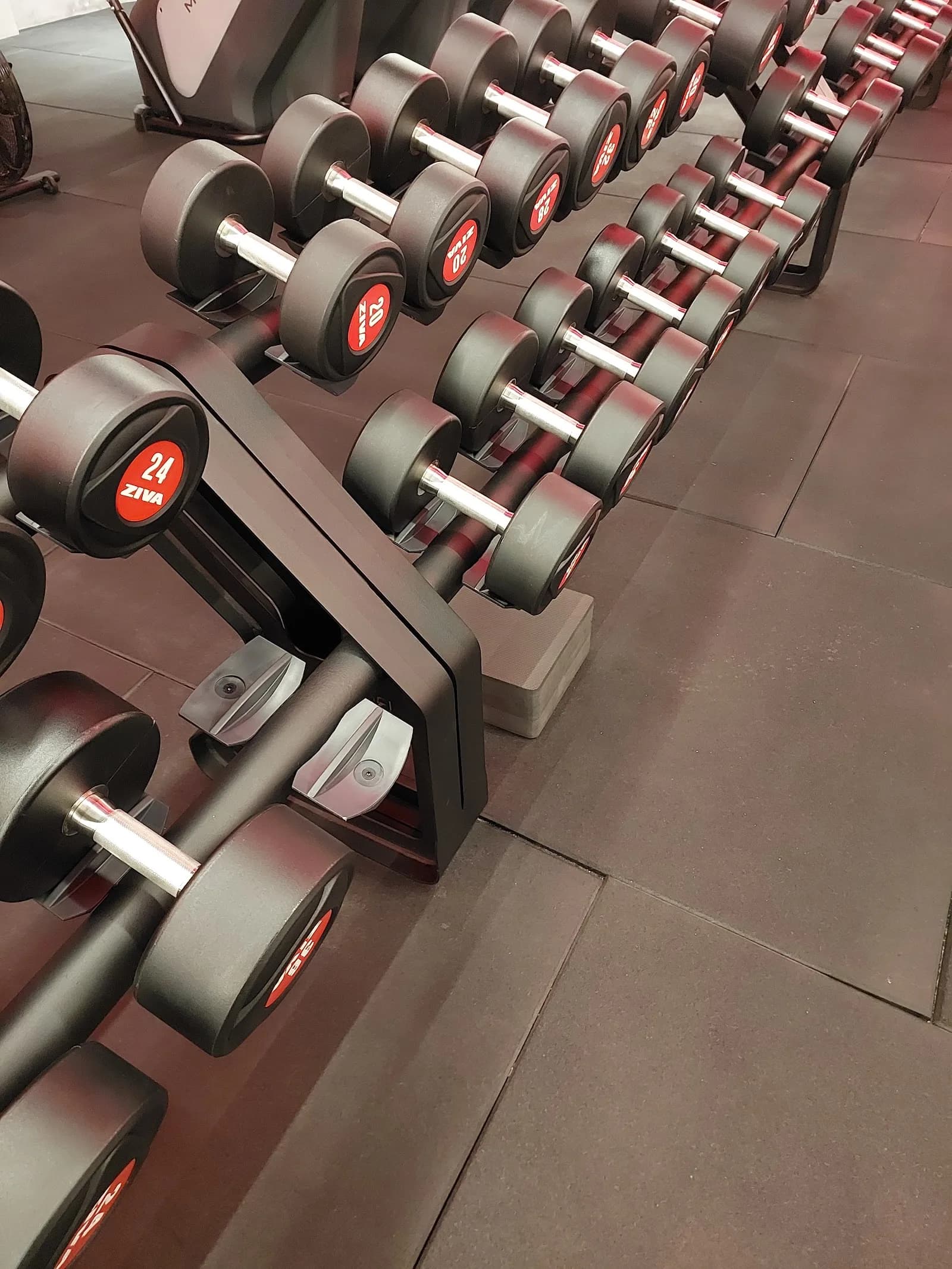 Selfit Academias Timon Centro — foto 1