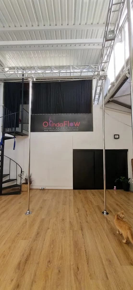Studio de Pole Dance Olinda Flow — foto 1